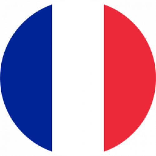 Picto drapeau français