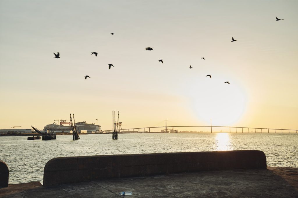 Vol d'oiseaux au-dessus de l'estuaire au coucher du soleil depuis le Vieux môle.