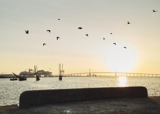 Vol d'oiseaux au-dessus de l'estuaire au coucher du soleil depuis le Vieux môle.