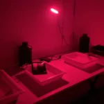Photographie prise dans la pénombre de l'atelier de développement des tirages avec les différents bains.